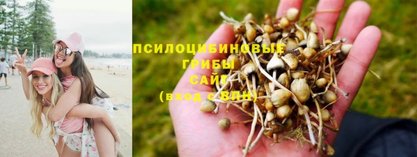 МДМА Кодинск