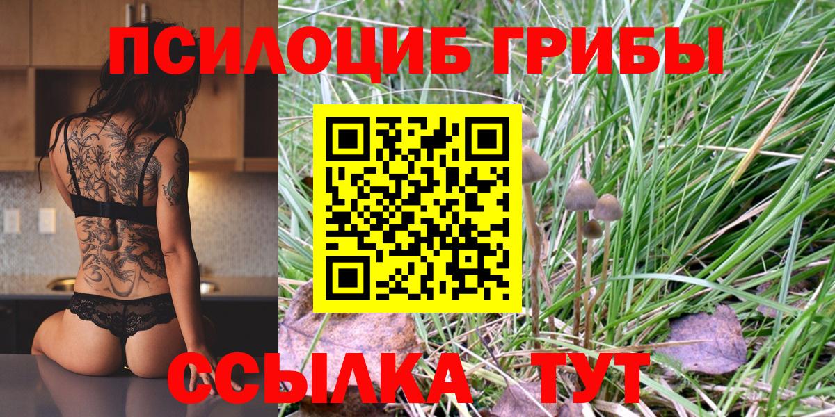Псилоцибиновые грибы мицелий Елец