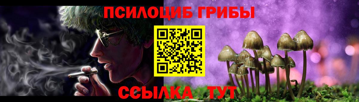 Псилоцибиновые грибы Psilocybine cubensis  Галлюциногенные грибы Psilocybe  Вход с VPN  Елец 