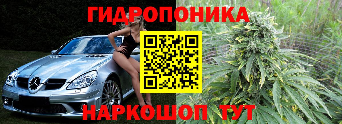 Шишки марихуана план Елец